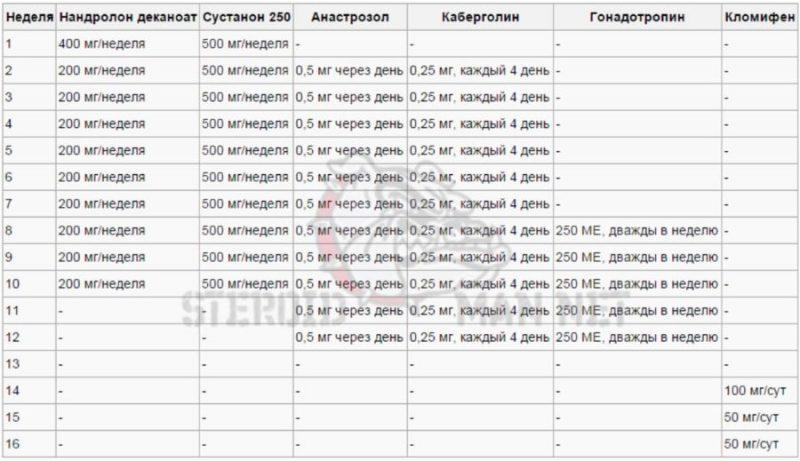дека курс схема приема
